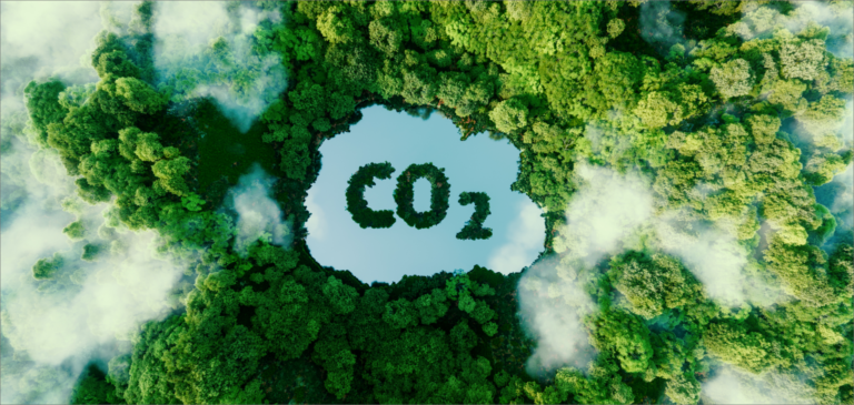 Como Parar de Perder Dinheiro com o Desperdício de CO2