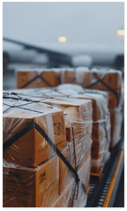 Logísticas e Cadeia de Frio